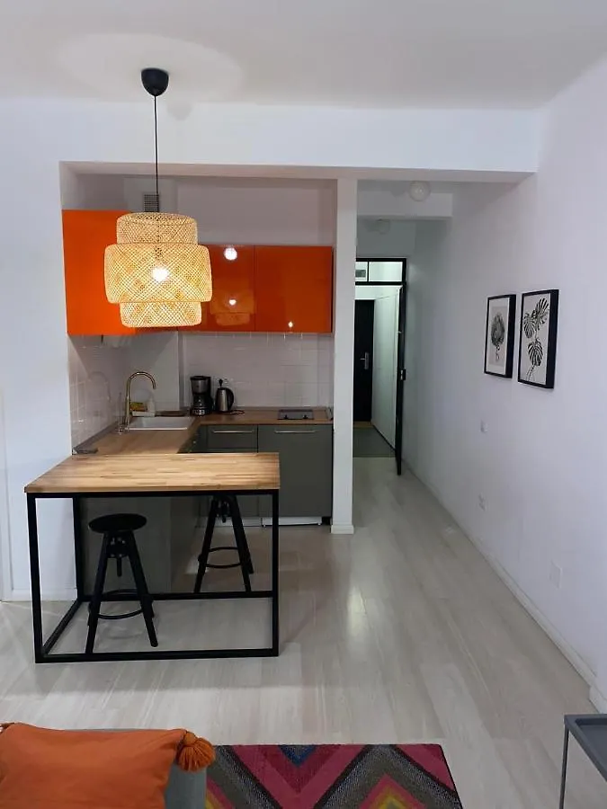Quinet Studio Apartment Bucharest